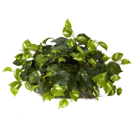 Nearly Natural Pothos Set on Foam Sheet Silk Plant 6708